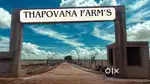 Thapovana Farm's Moka Road