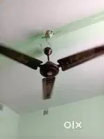 Ceiling fan