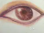 Realistic eye drawing