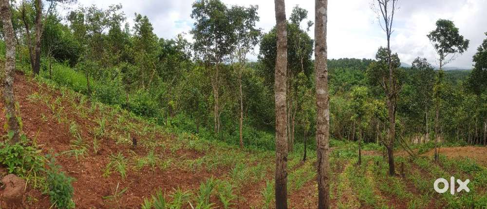 Land for sale at Zero Point, Umsning (for serious buyers only)