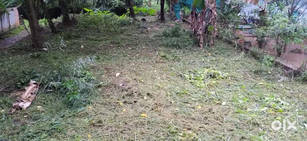 5 cent Residential Plot near Eravu Temple for SALE