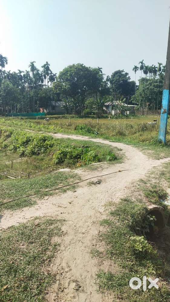 Adespally  Lands With 16 Ft Roads Beside Farabari  project