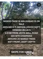MANGO FARM LAND MALIHABAD MALL ON SALE BEST FOR FARMHOUSE AGRICULTURE