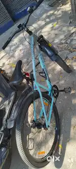 6 Months old cycle