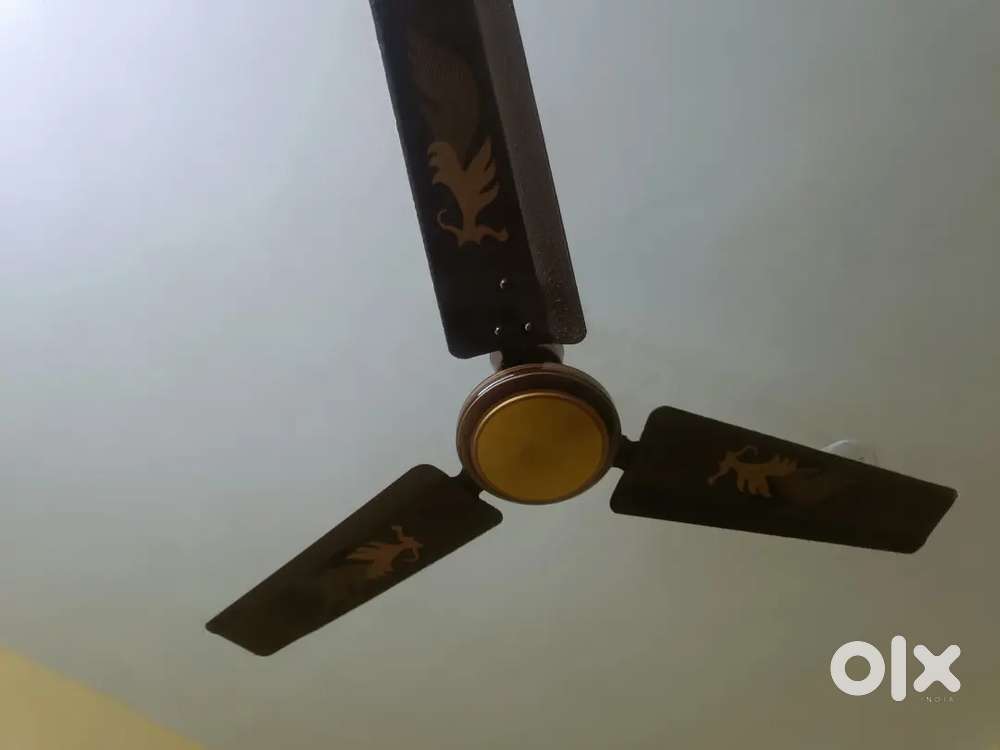 Good condion / brand(Vimal)