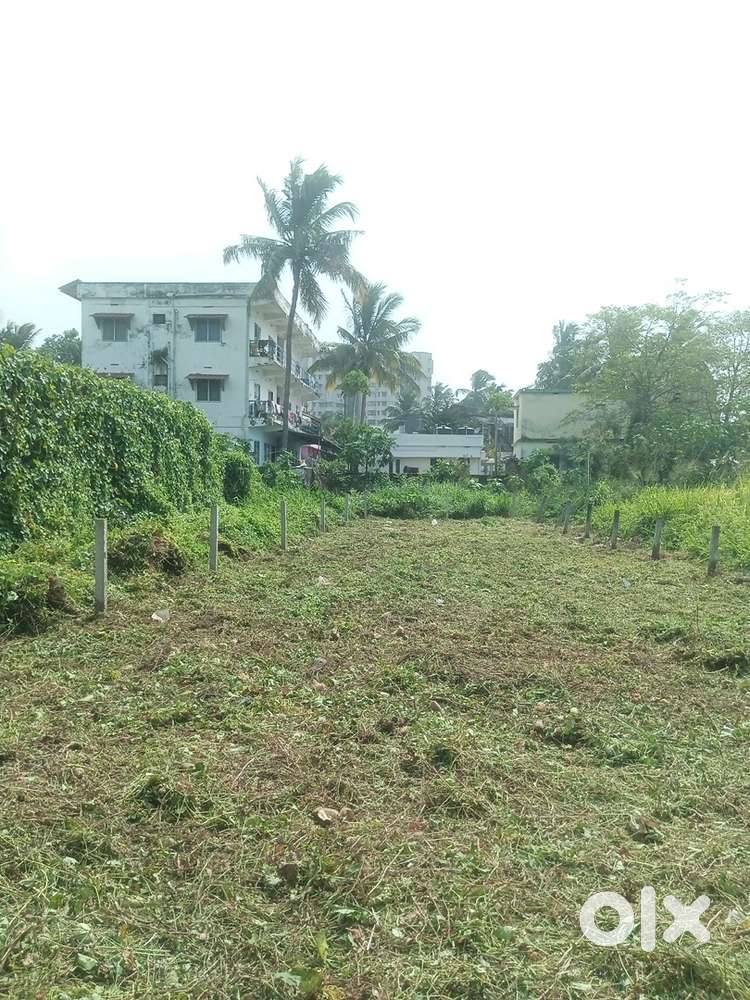 6 cent plot manali palakkad