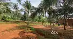Premium Land - Makkarapparamb - NH Kozhikode Palakkad