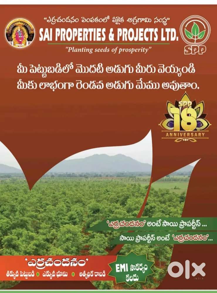 Rentel income red sandal farm land