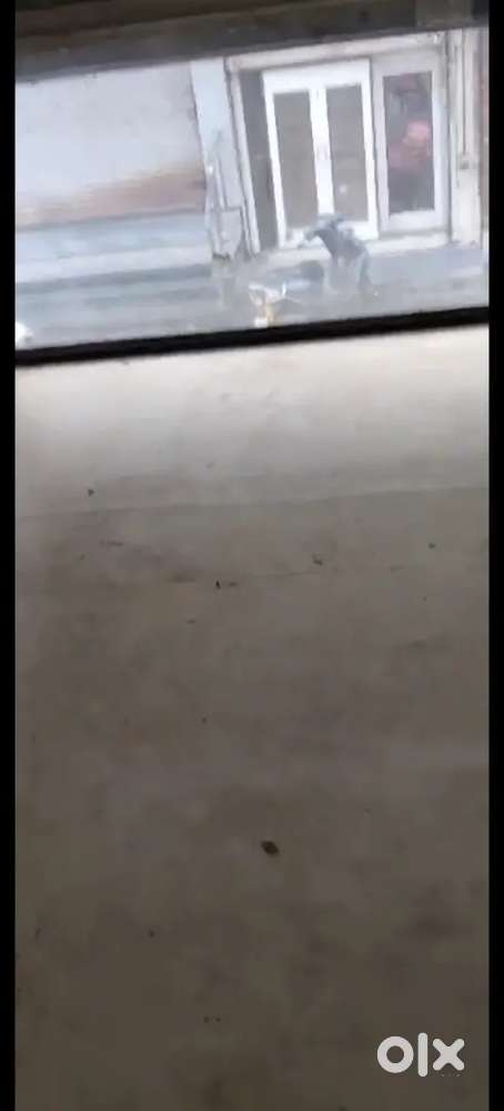 Shop For Rent @ Shalimar chowk Nashik