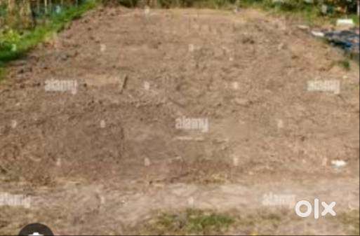 100 gaj plot on CMC colony(Bhamia) Main road