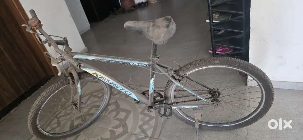 Bicycle without gear