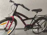 A von  passo bicycle