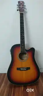 Acoustic steel-String Guitars