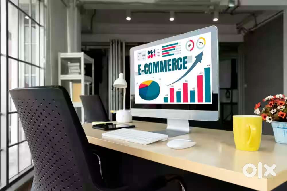 Ecommerce Operations Executive