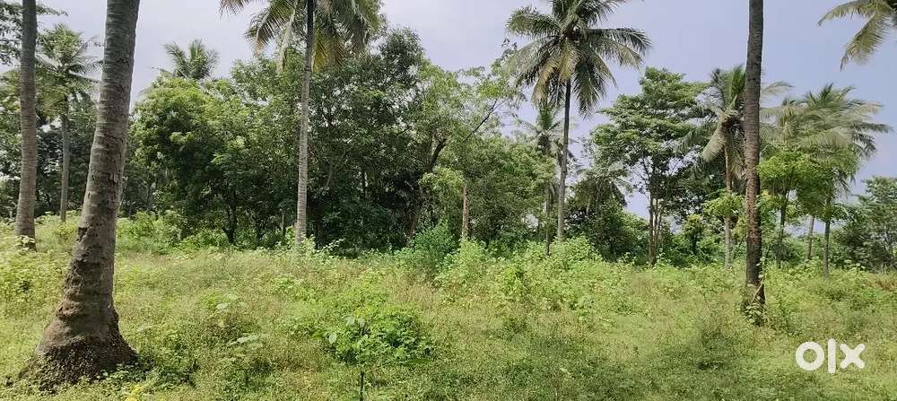 Land sale at Somavarappadu