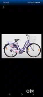 Cycle  new