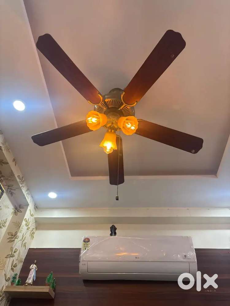 Fancy fan with five hands 2 pair