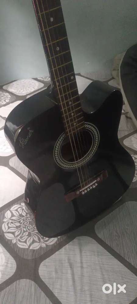 Guitaar hovner