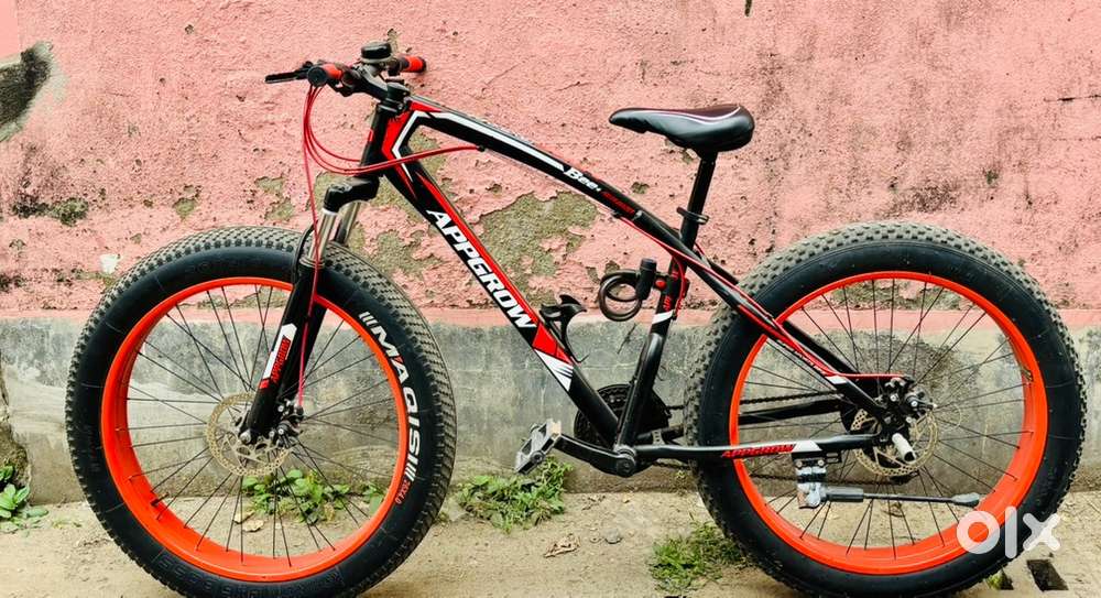 Fat bike cycle
