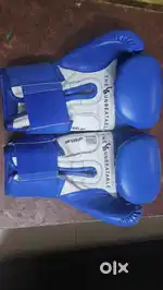 USI boxing gloves