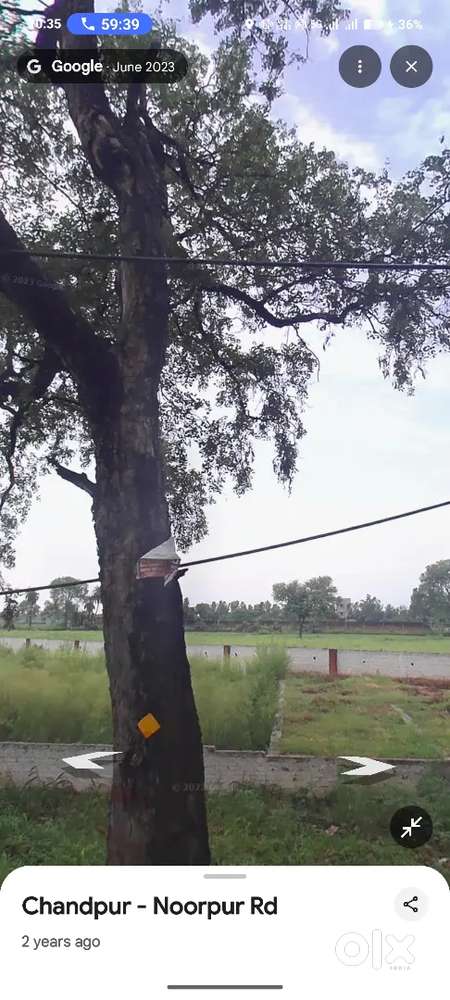 Urgent sell on rod plot chandpur bhagwant school ke samne