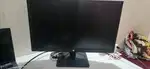 FHD HP monitor 21 inch