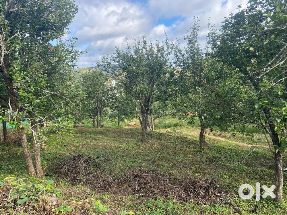 50 cents plot for sale within Kodaikanal town limit