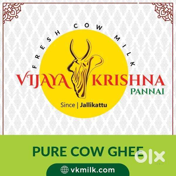 Needed Milk Delivery boys Morning two hours only