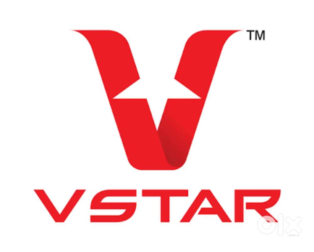 Collection Executive