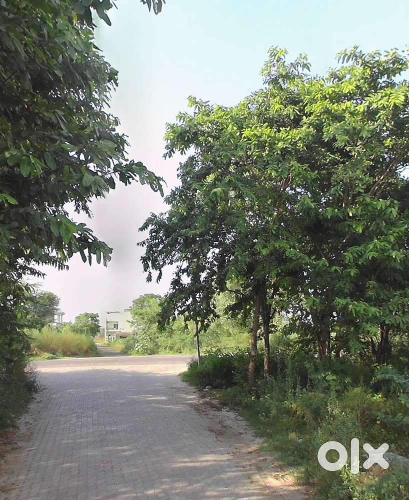 250 gaj Plot for sale in Ghuman Nagar, Patiala