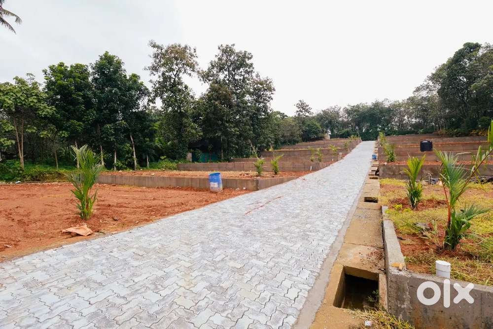 3,4,5,6,7 10cent house plot near kizhakkabalam vengola busroot 300mtr