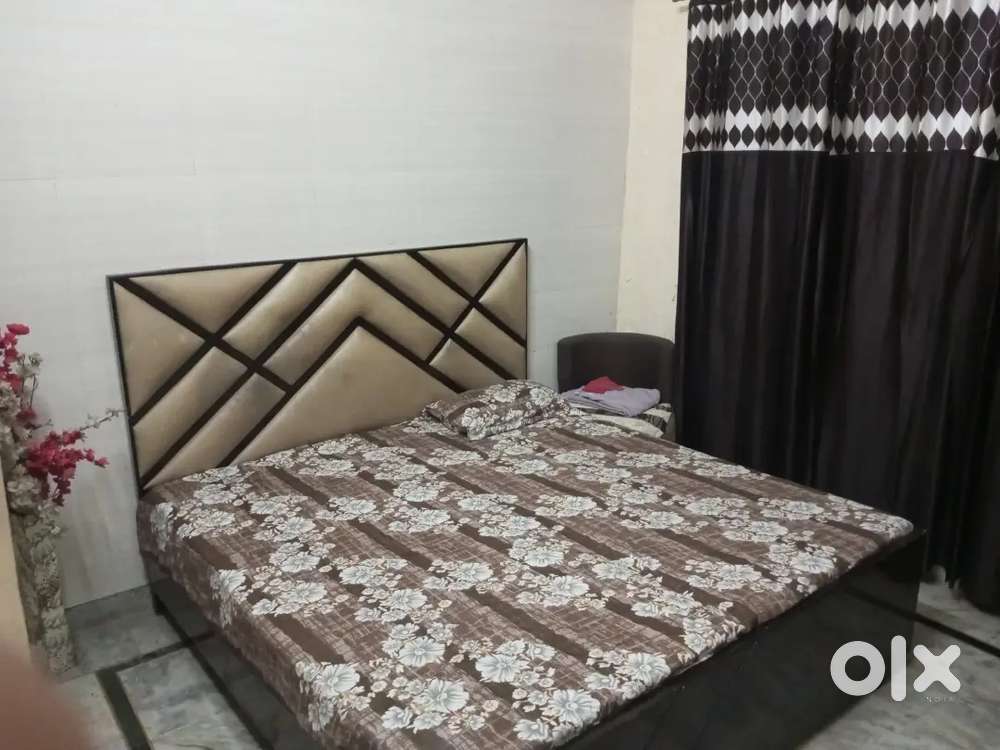 Pg for girls and boys