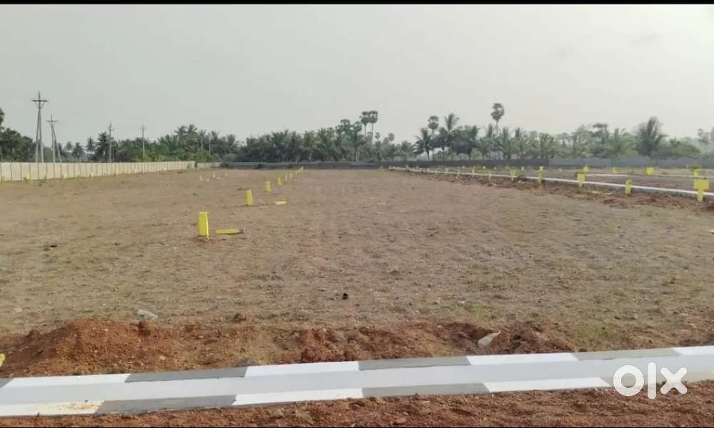 Don't Miss This Chance to Became a Rich