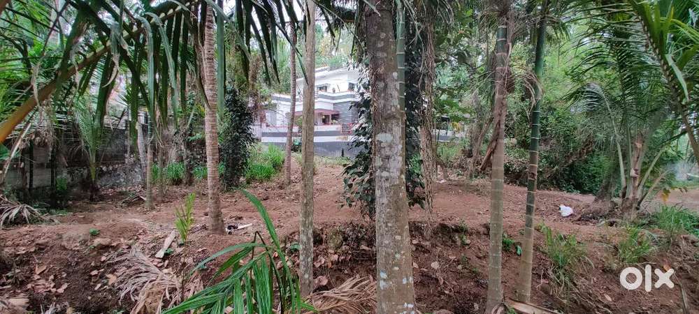 Land for sale- 5 cents and above