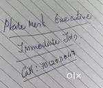 Placement executive