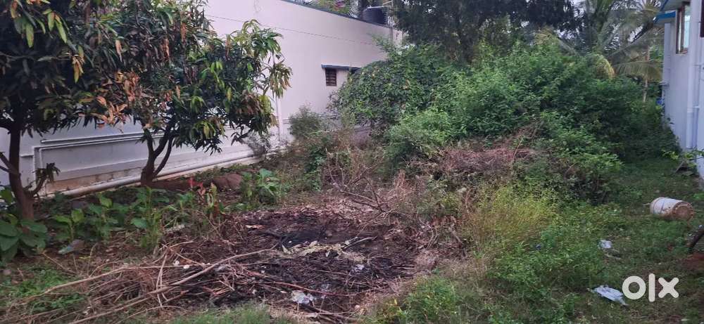 Law College bus stop