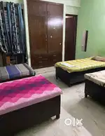 Girls pg in noida near sector 55,56,11,57