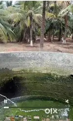 Land / Coconut farm