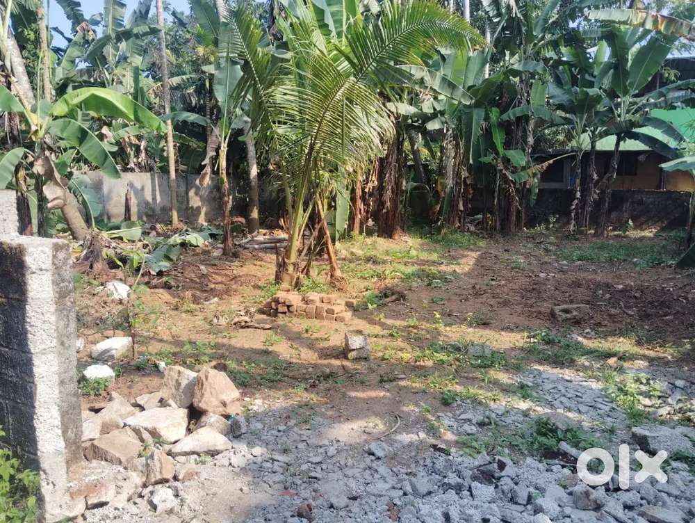 5.5 cent land near Attingal ITI college 300m From NH for sale