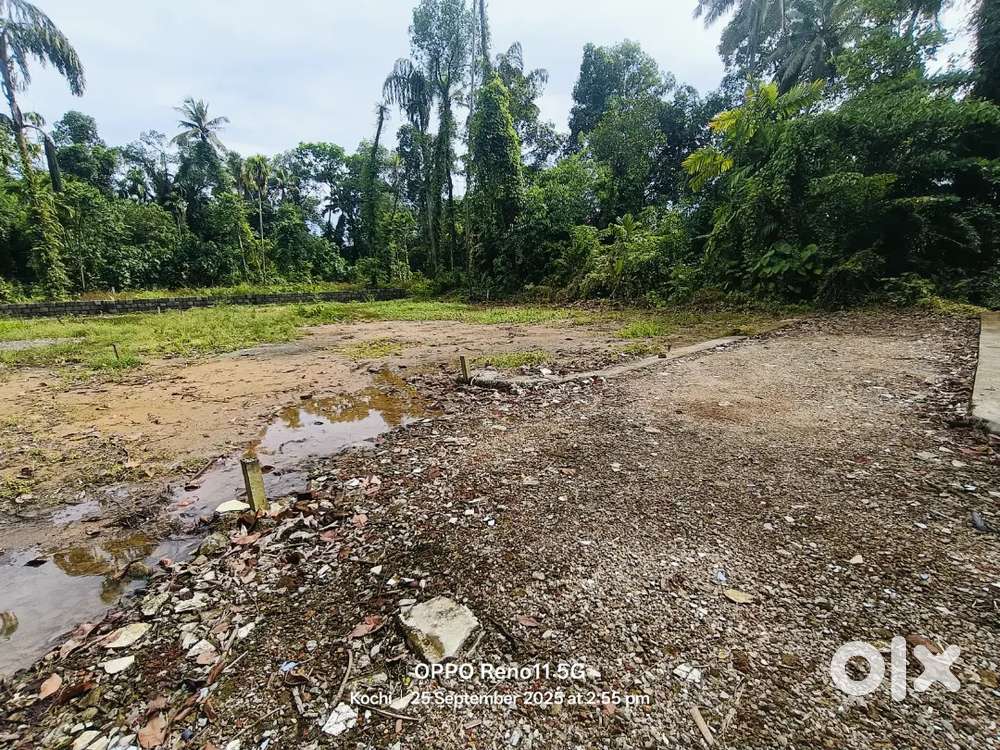 HOUlSE PLOTT 
EDAPPILLY NEAR  MANJUMMAL 

PLOTT 21 CENTcent 6.90 Lakh