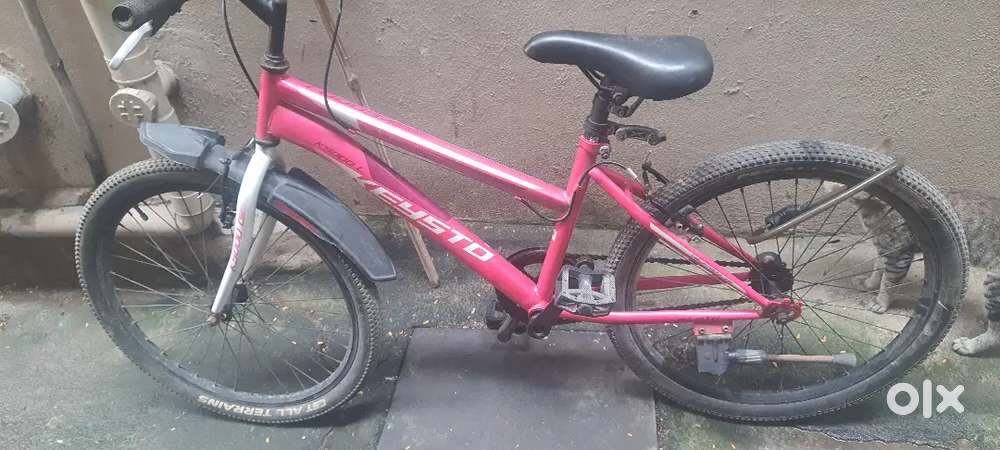 K5000 L model