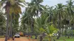 Farmland for Sale
