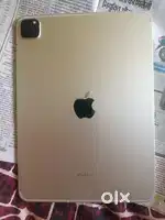 Ipad pro M2 11 inch, 1 TB, wifi + cellular