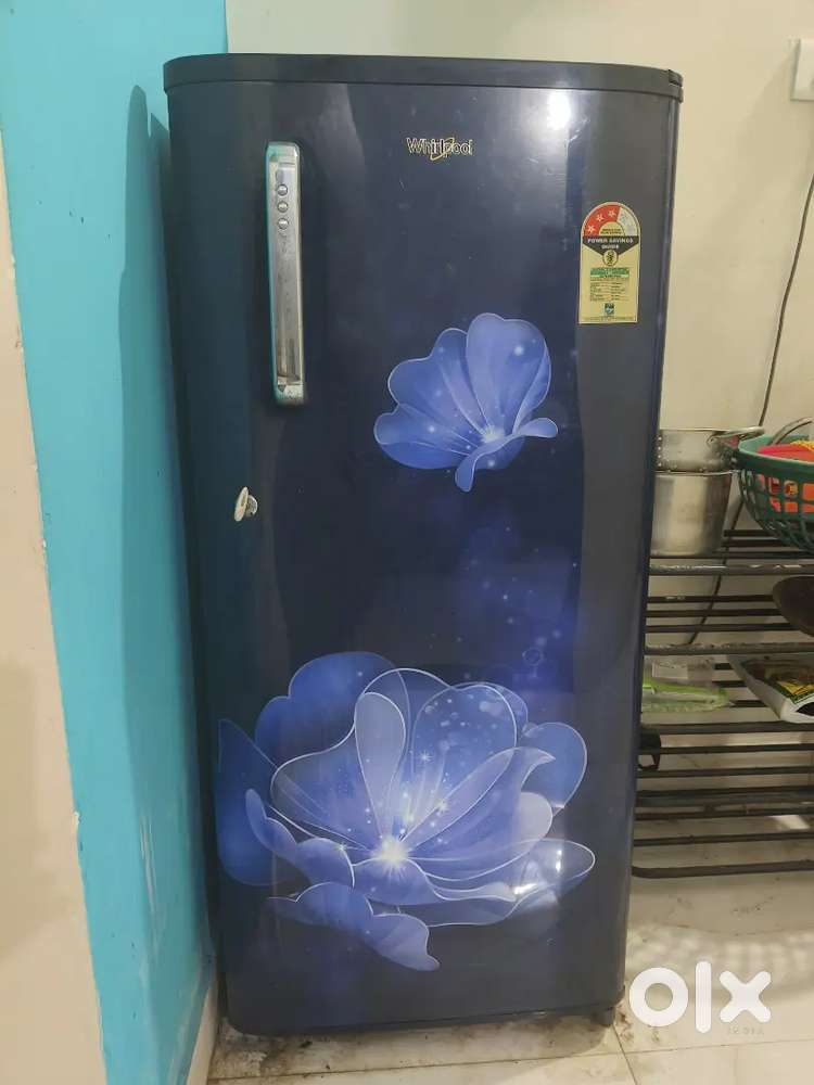 10 months old fridge