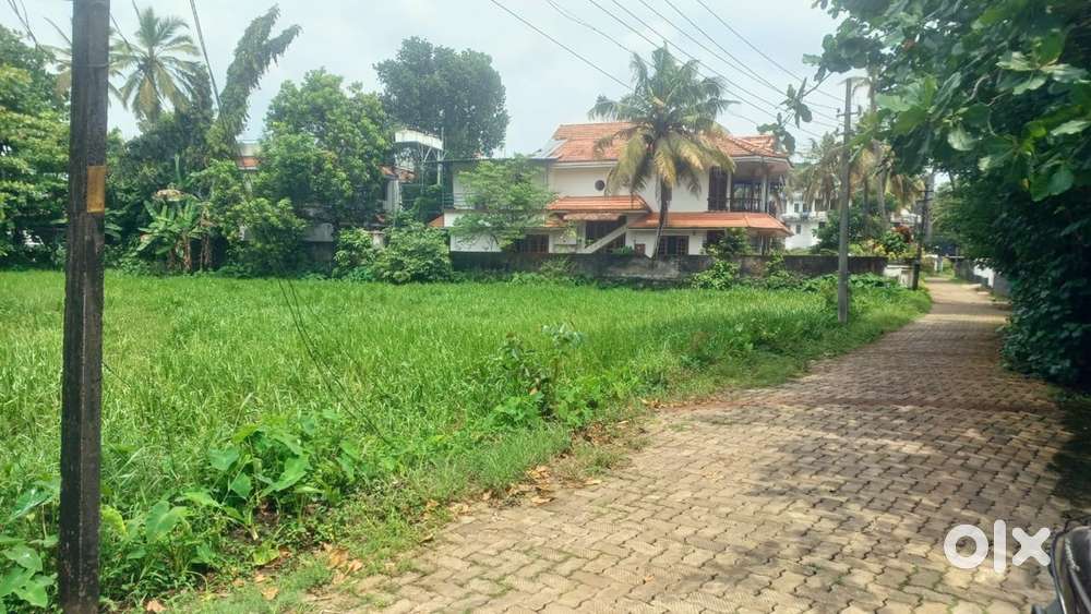 50 cents land. 4.00 Lakh per cent. Thiruvalla -Kottayam M.C. Road