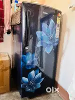 Haier Single Door  185L