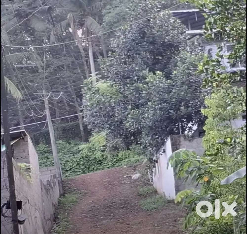 Plot for sale 37 cent kattakada kattakode