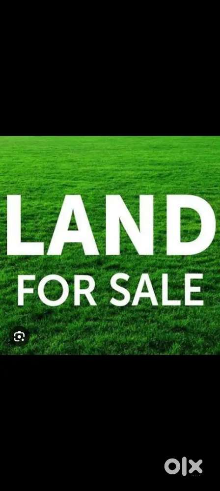 3 katha 16 lessa, Hamdoi pool golaghat, near golaghat town