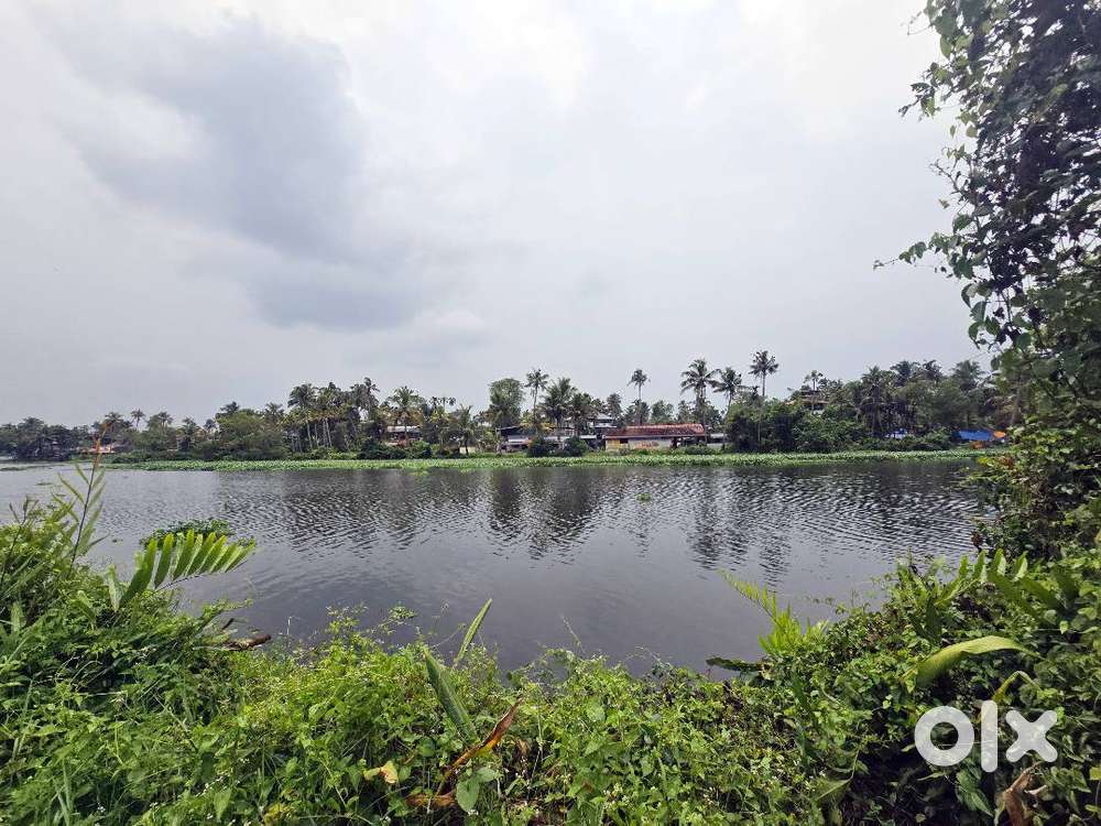 14 Cent Water-Frontage Purayidam Land for Sale Thathappilly, Varapuzha