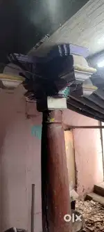 பழைய தேக்கு மரம் செம்மரம் பூவரசன் கிடைக்கும்